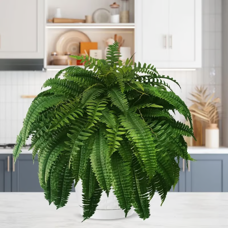 🌿 UV Resistant Lifelike Artificial Boston Fern