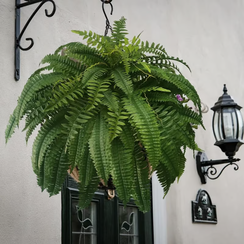 🌿 UV Resistant Lifelike Artificial Boston Fern