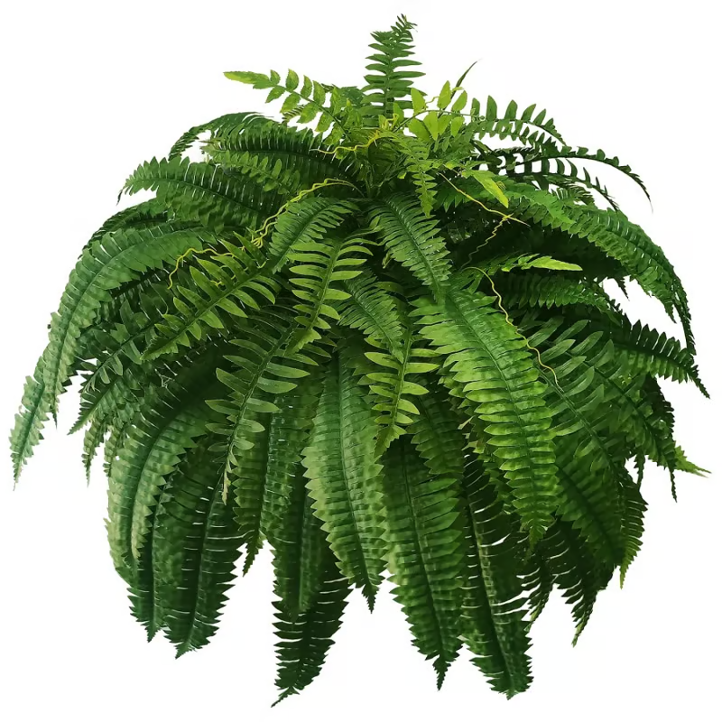 🌿 UV Resistant Lifelike Artificial Boston Fern